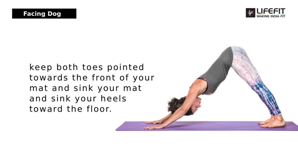 Downward-Facing Dog (Adho Mukha Svanasana)