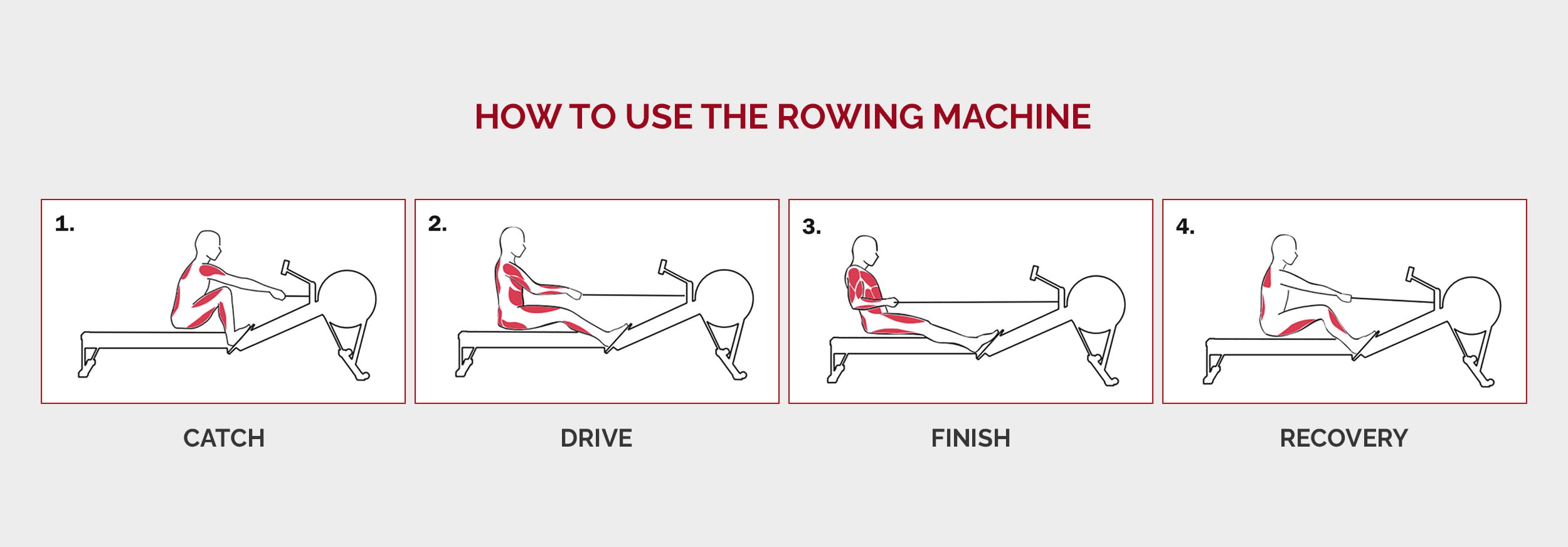 info graphic of using the rowing machine correctly