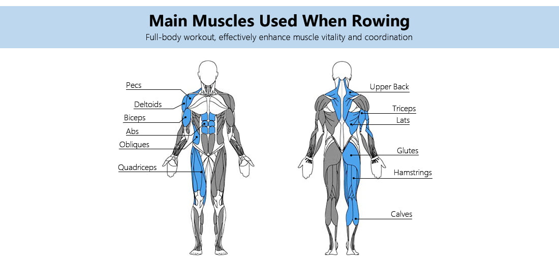 full body benefits of when rowing