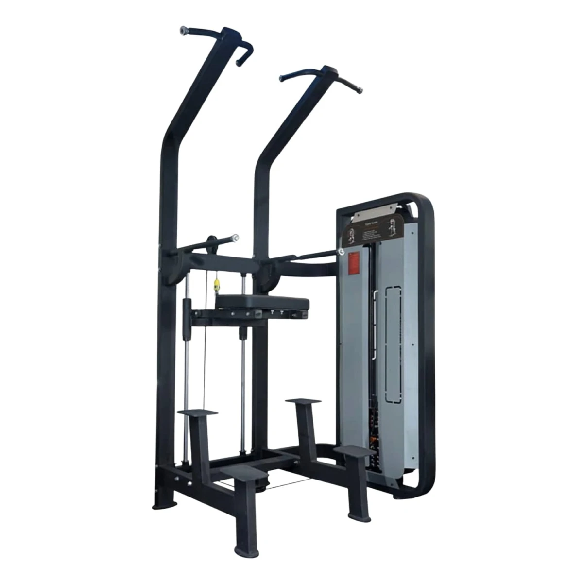 Assist Dip Chin | LIFE FIT