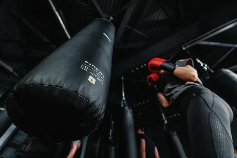 Life fit punching bag