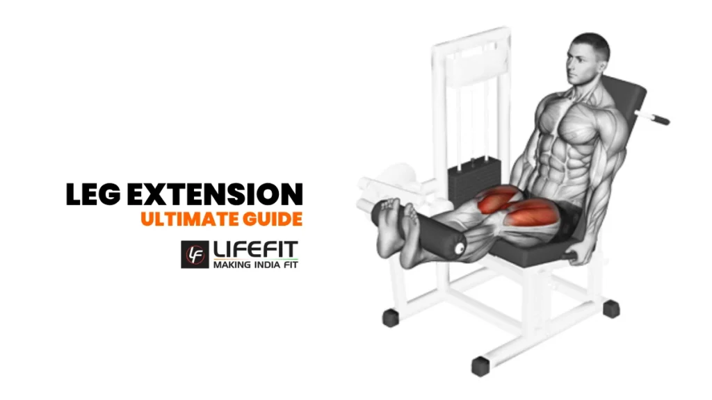 leg extension ultimate guide