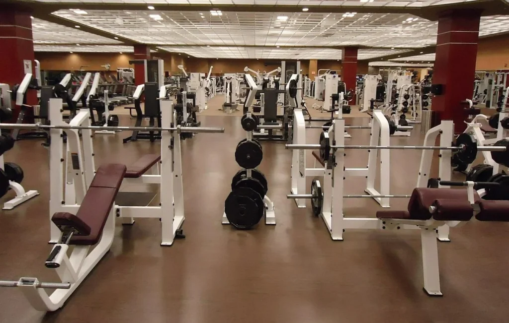 Best Commercial Gym Equipment for Your Fitness Business