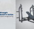 Hammer Strength Olympic Benches for Effective Weight Training