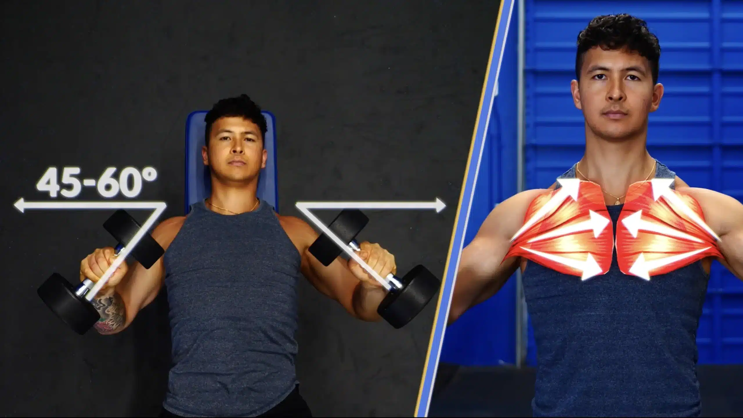Man demonstrating correct 45-60 degree elbow position during a dumbbell chest press to target pecs and avoid wide flaring.