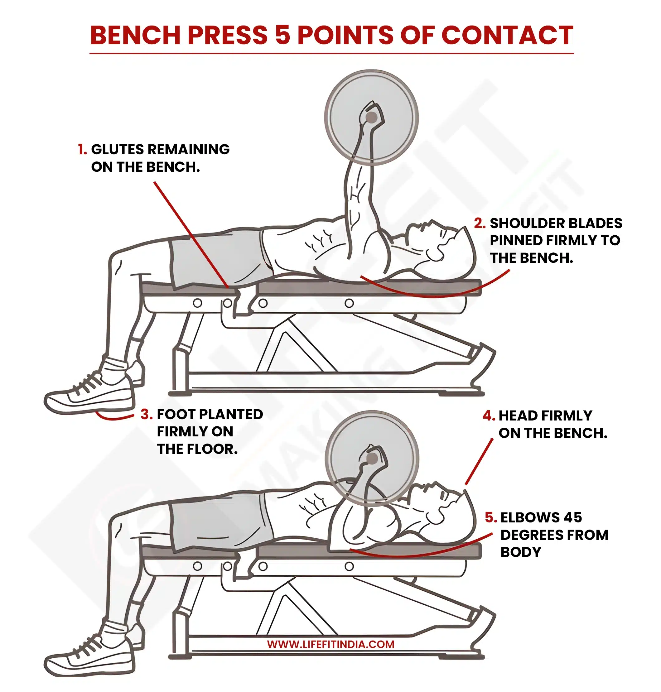 Infographic titled 'Bench Press 5 Points of Contact' illustrating proper form cues. Two diagrams show a person bench pressing (top and bottom positions) with numbered callouts: 1. Glutes remaining on the bench, 2. Shoulder blades pinned firmly to the bench, 3. Foot planted firmly on the floor, 4. Head firmly on the bench, 5. Elbows 45 degrees from body. Includes the lifefitindia.com URL.