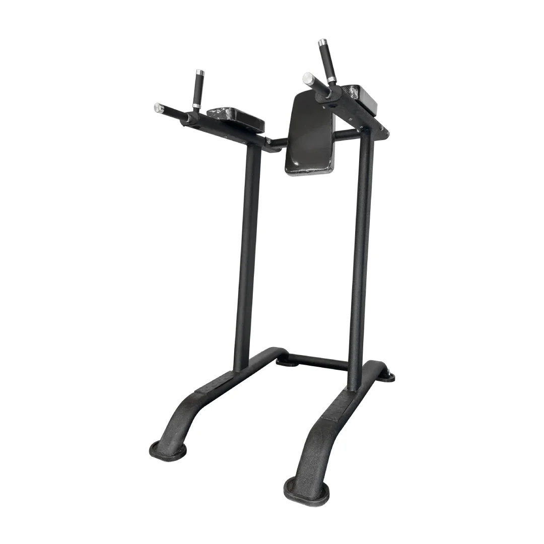 LIFE FIT commercial vertical knee raise machine with dip handles, padded supports and black steel frame