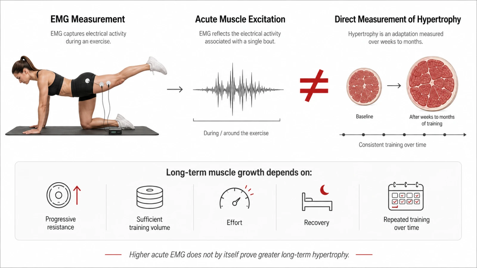 Infographic explaining why EMG muscle activation does not directly measure long-term muscle growth