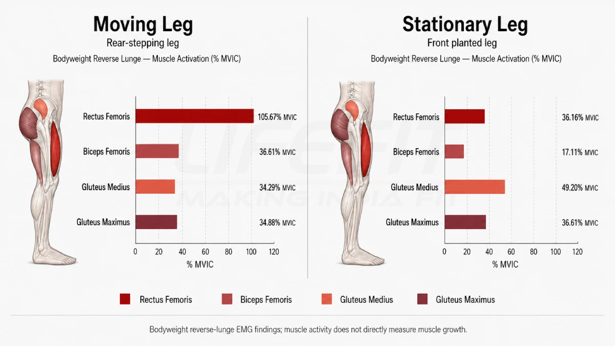 Moving leg and stationary leg muscle activation during a rear lunge